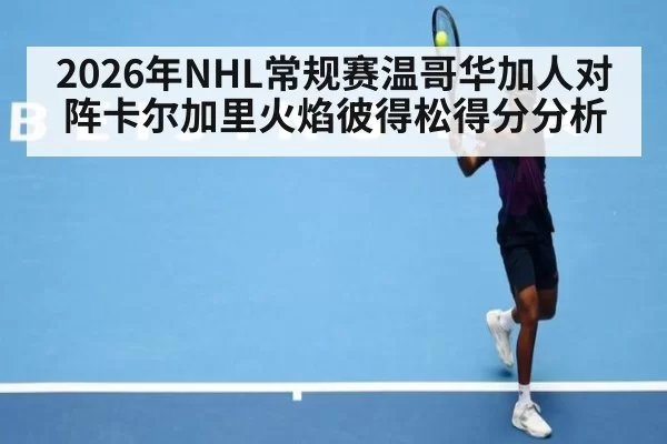 2026年NHL常规赛温哥华加人对阵卡尔加里火焰彼得松得分分析